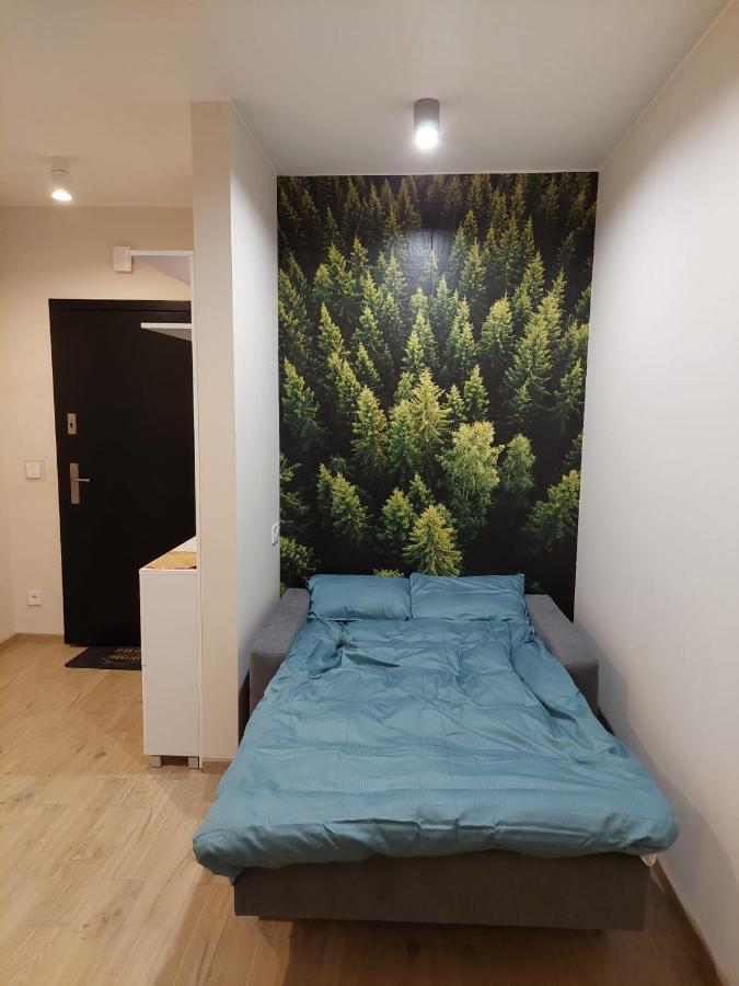 Apartament Pod Gora Szyndzielnia , Debowiec Bielsko-Biala Exterior photo